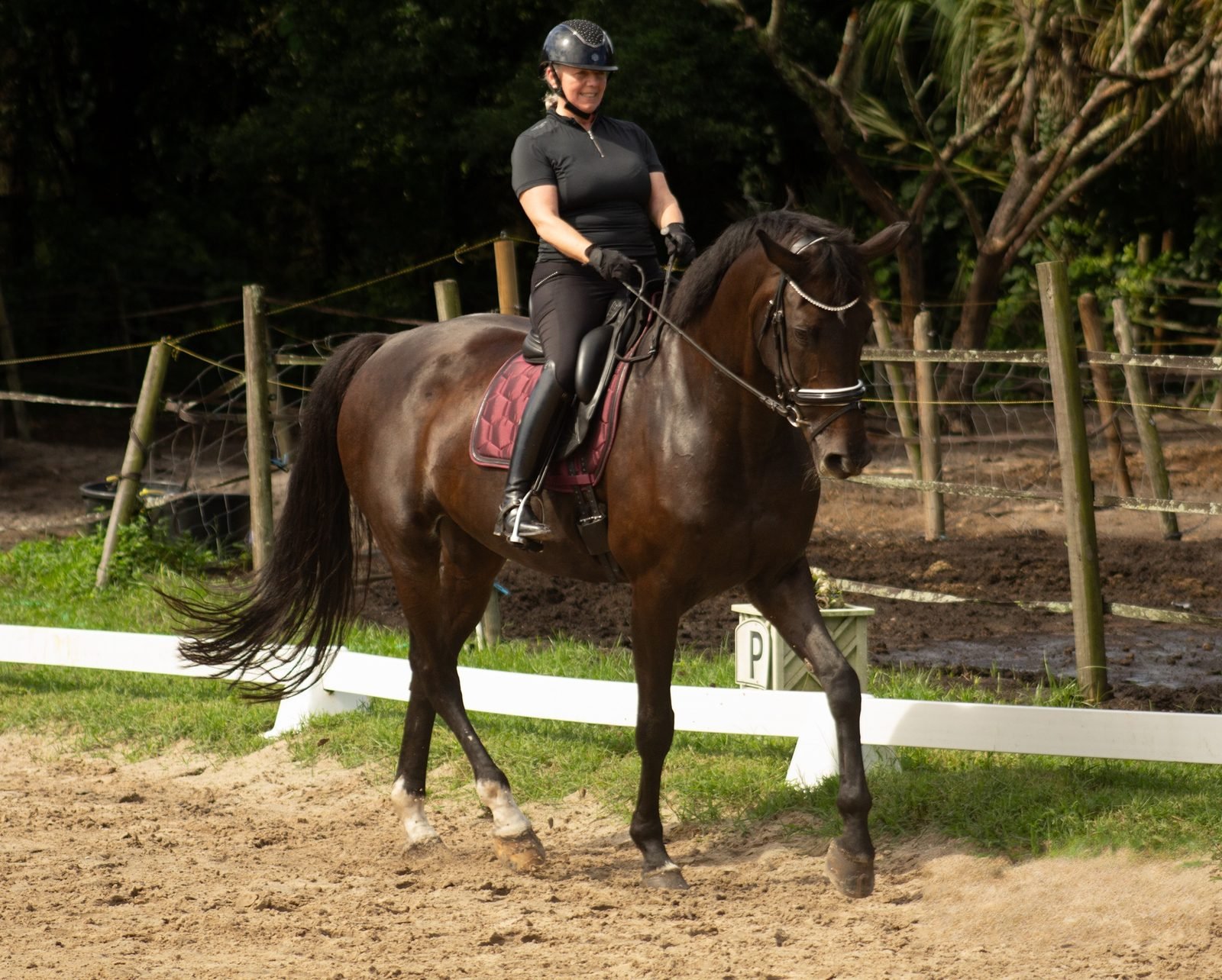 Dressage horse and rider trotting