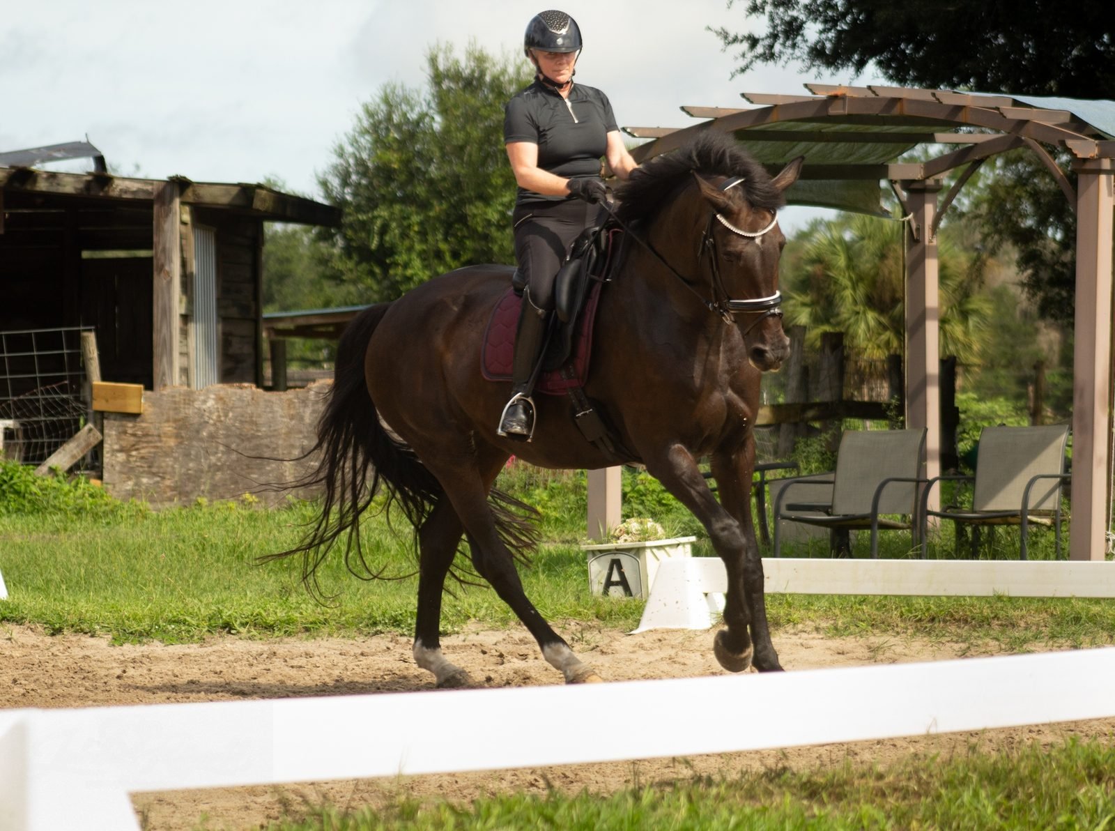 Horse and rider by the arena