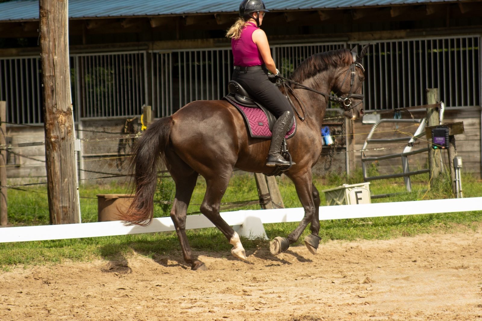 Horse and rider trotting down the rail