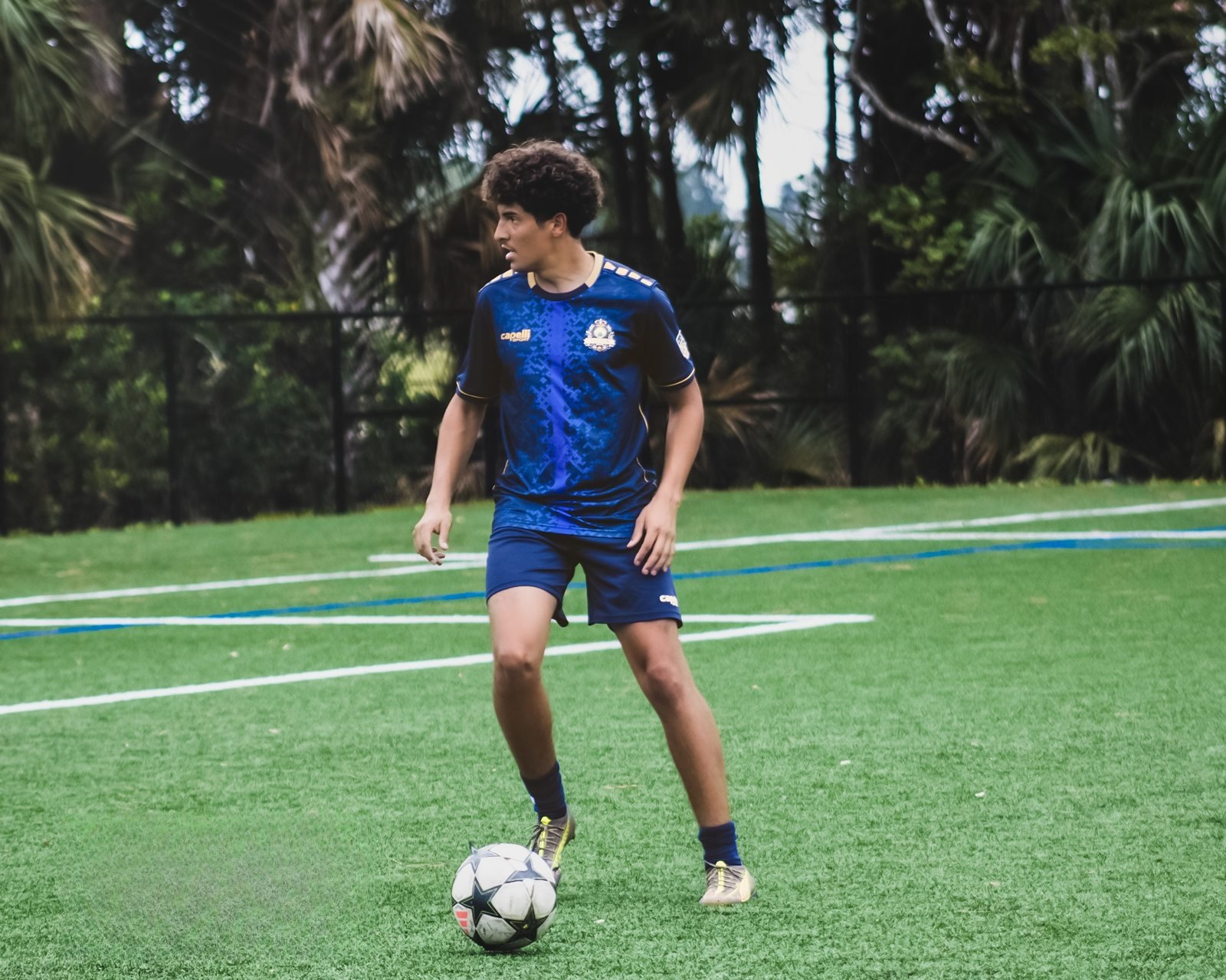 Player in blue surveying the field